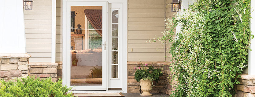 Storm Door