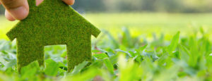 Benefits of Going Green with your Home Project