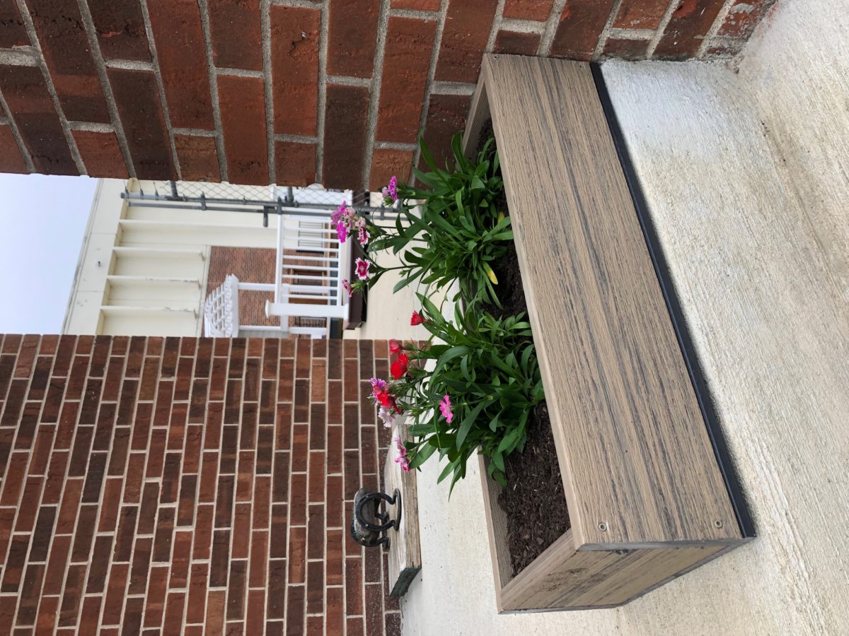 IMG_4734 McCray Lumber