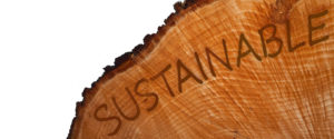 Sustainable Eco Friendly Lumber