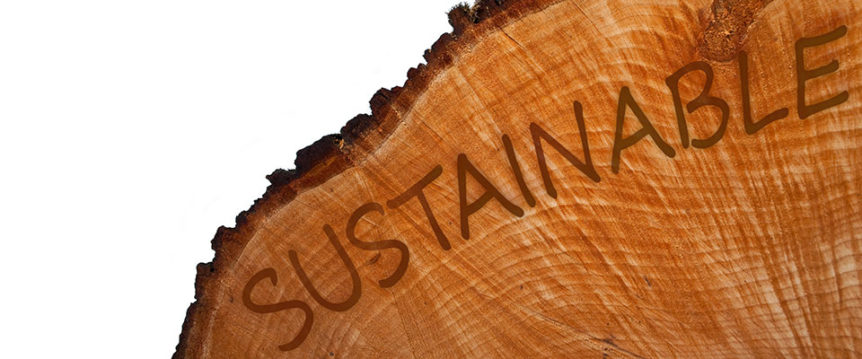 Sustainable Eco Friendly Lumber